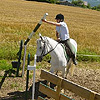 trec