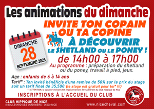 ANIMATIONS DU DIMANCHE : INVITE TON COPAIN A DECOUVRIR LE PONEY