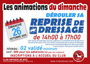 ANIMATIONS DU DIMANCHE : DEROULER SA REPRISE DE DRESSAGE