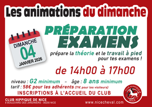 ANIMATIONS DU DIMANCHE : PREPARATION EXAMEN