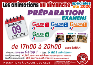 Animations du dimanche : PREPARATION EXAMS G1 &agrave; G4