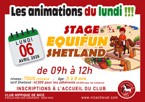 ANIMATIONS DU LUNDI : STAGE EQUIFUN SHETLAND