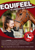 equifeel