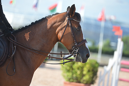 crédit photo : Franck MARIOTON