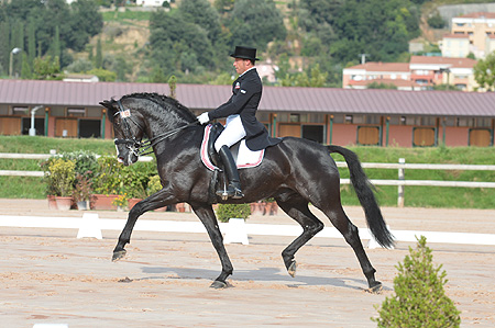 crédit photo : Franck MARIOTON