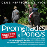 shetland club : promenades & jeux
