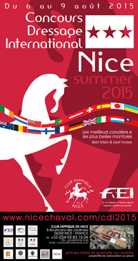 CDI SUMMER 2015